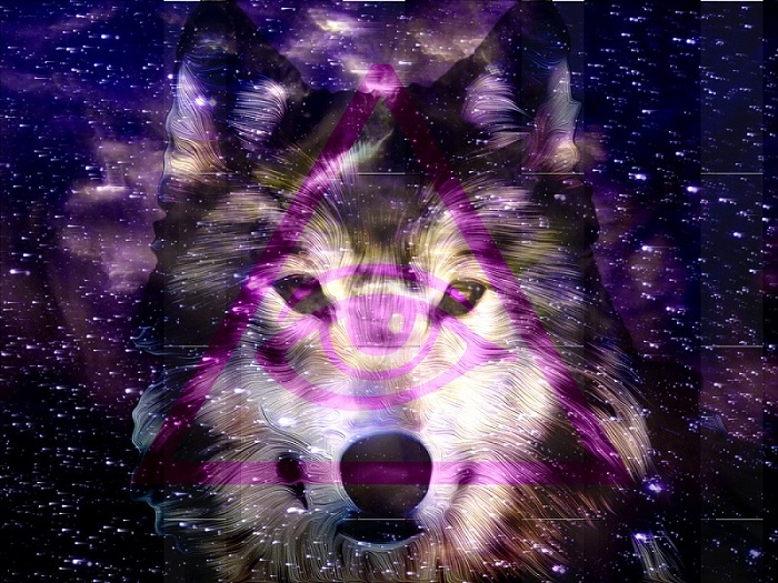 hipster_space_wolf_by_billythekid1470-d6ud9hs